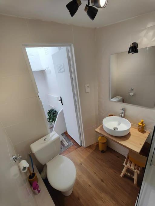 Charmant T2 atypique, rénové - Appartement 1 Chambre - 24