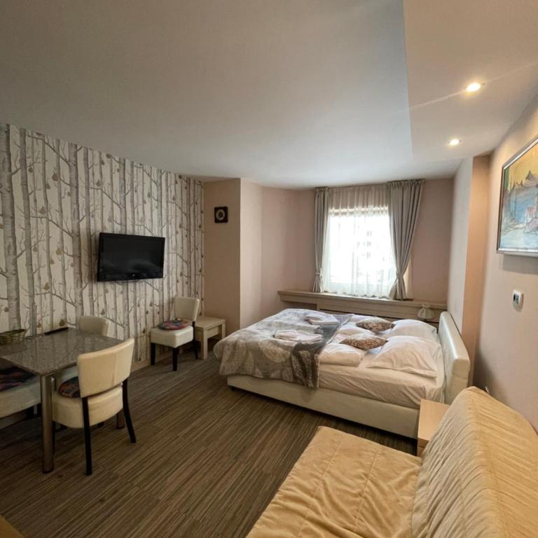 Apartments Konaci Kopaonik - Studio with Mountain View - 2