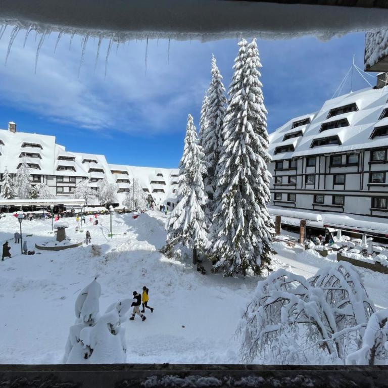 Apartments Konaci Kopaonik - Studio with Mountain View - 3