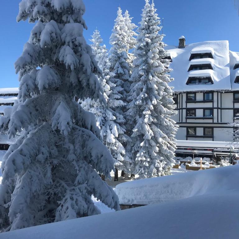 Apartments Konaci Kopaonik - Studio with Mountain View - 5