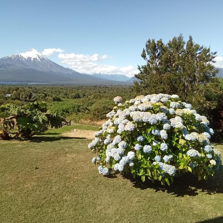 Topahue - Bungalow Estándar - 4