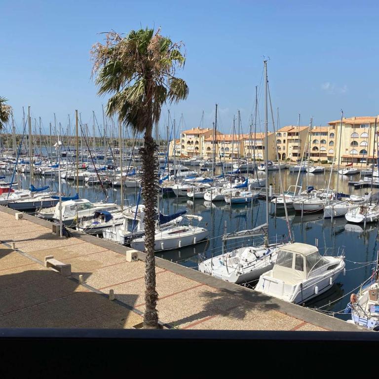 Appart 3 Pièces avec Clim pour 4 pers, Face Port à Port Leucate - FR-1-81-579 - Appartement - 3