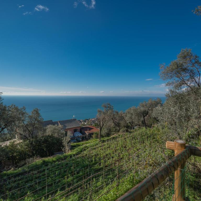 Agriturismo S.Ilario - Bungalow con Vista Mare - 9