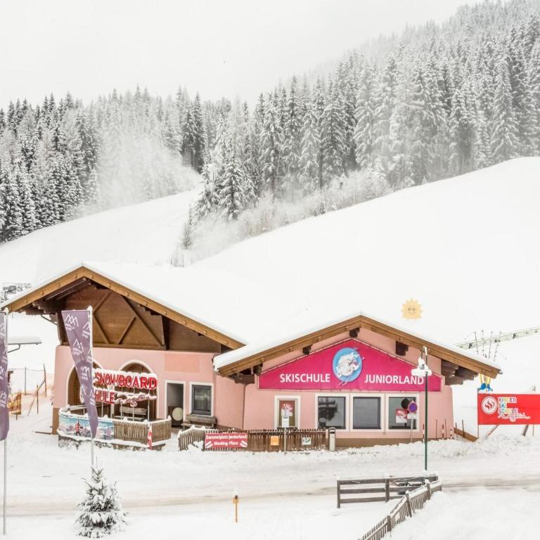 Penthouse in Wagrain near Ski Slopes - Apartment mit 2 Schlafzimmern - 29