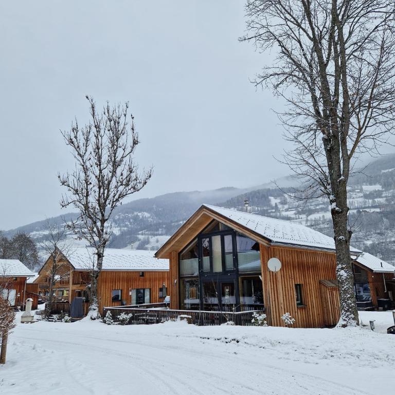 Aron Chalet Kreischberg 10A - Chalet Supérieur - 44