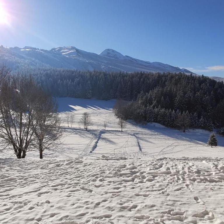 Studio cosy au pied des pistes Villard-de-Lans 4 pers - Appartement 1 Chambre - 20