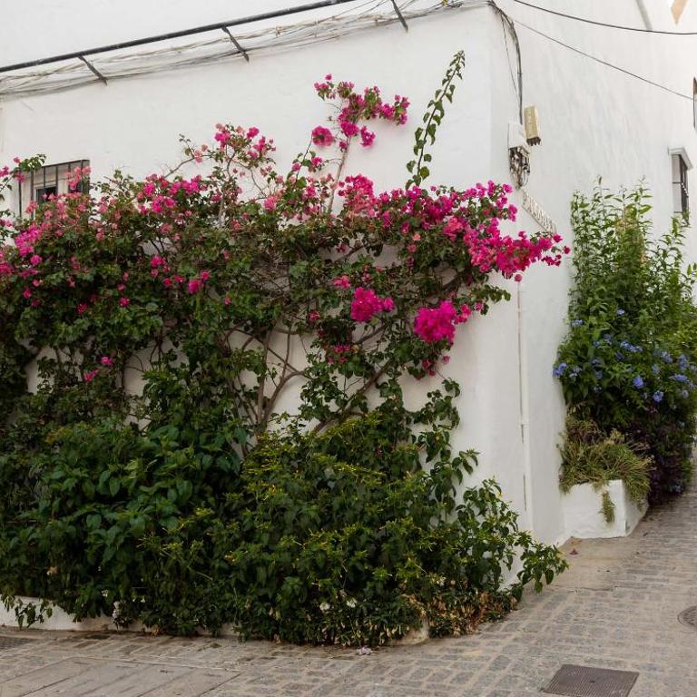 Vista La Janda - Califa Casas Vejer - Casa de 2 dormitorios - 9