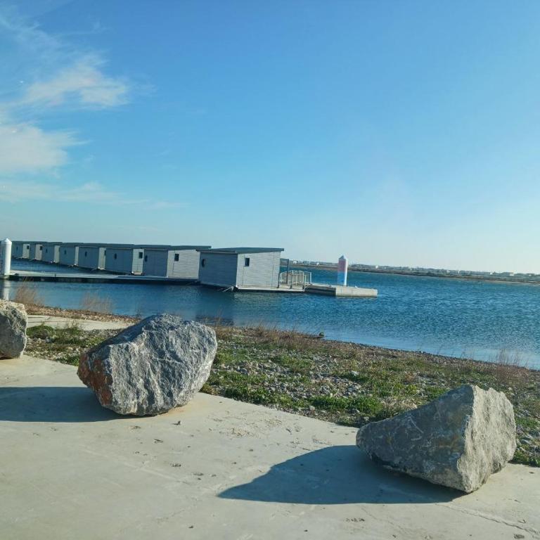 Le clin d'oeil sur le port. - Appartement 1 Chambre - 18
