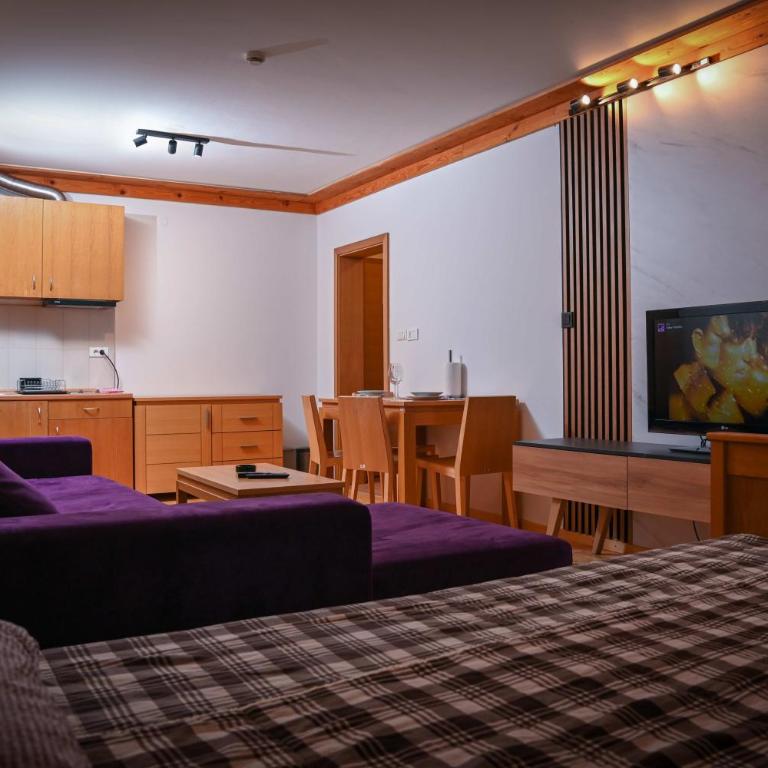 Etna Ski Vucko Jahorina - Standard Apartment - 5