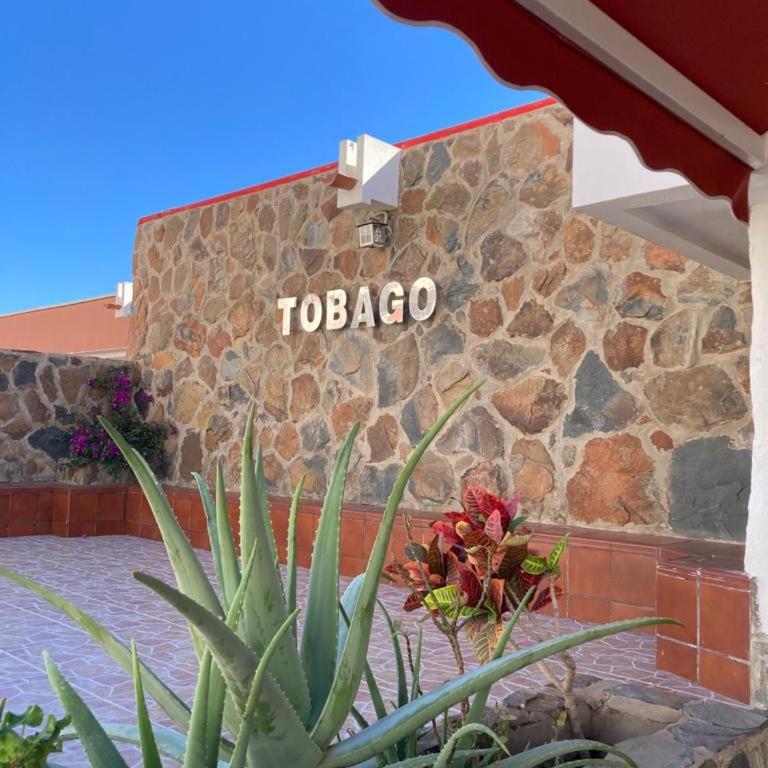 Tobago508 - Apartment - 18