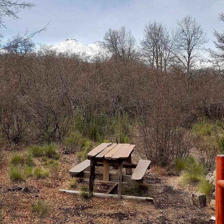 La Ruta de Los Volcanes - Las Trancas Chillán - Chalet de 3 dormitorios - 60