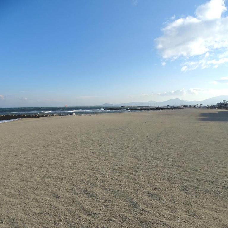 A 2 pas du Port et de la Plage - Appartement 2 chambres - parking - Saint-Cyprien plage - Appartement 2 Chambres - 15