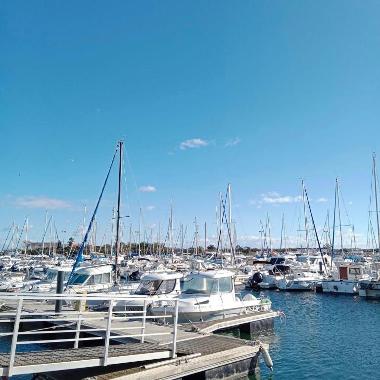 A 2 pas du Port et de la Plage - Appartement 2 chambres - parking - Saint-Cyprien plage - Appartement 2 Chambres - 16