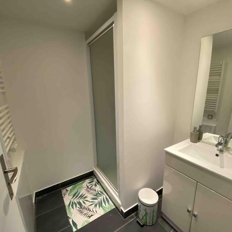 La maison de la pointe rouge - Apartment mit 2 Schlafzimmern - 6