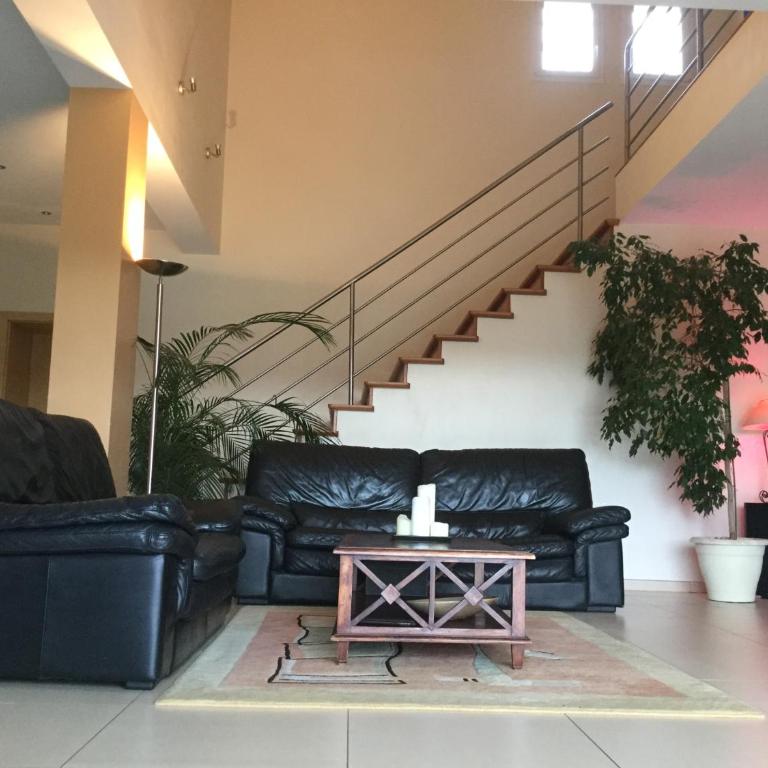 Luxueuse Villa Climatisée à Cannes - Villa - 33