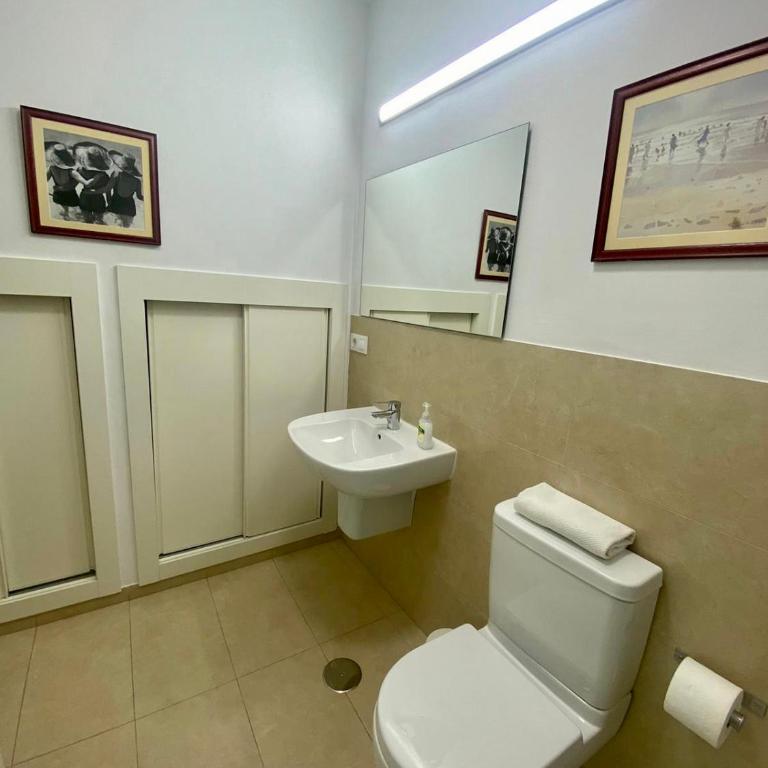 Nuevo apartamento Alameda - Apartamento - Planta baja - 15