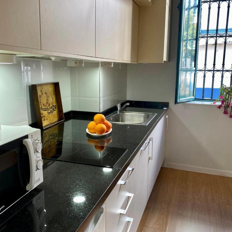 Nuevo apartamento Alameda - Apartamento - Planta baja - 12