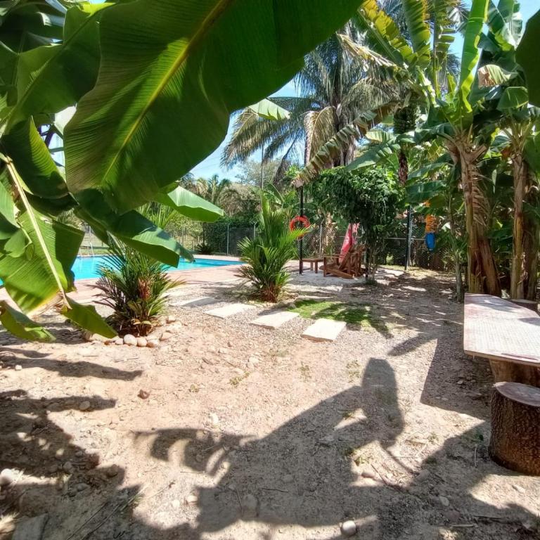 Finca La Perla Yopal - Casa - 36