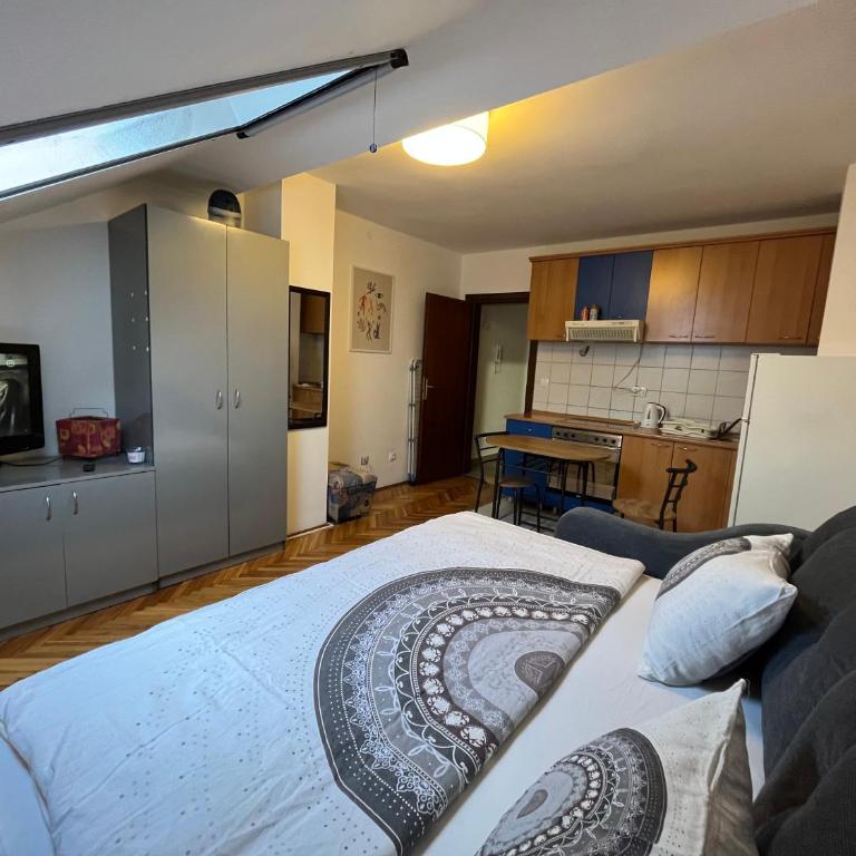 Studio in the centre of Novi Sad - One-Bedroom Apartment - 1