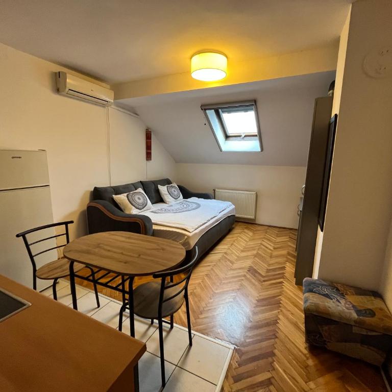 Studio in the centre of Novi Sad - One-Bedroom Apartment - 10