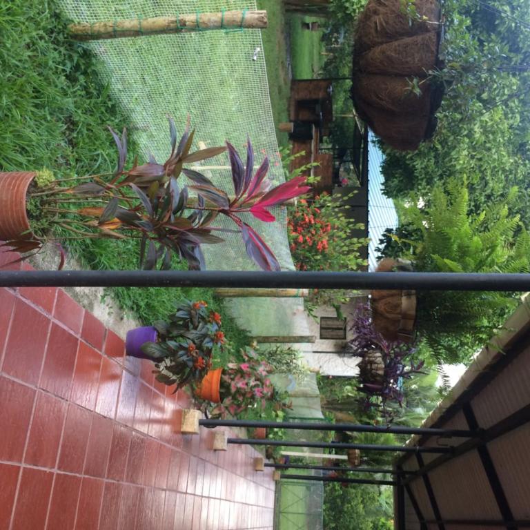 Finca La Perla Yopal - Casa - 12