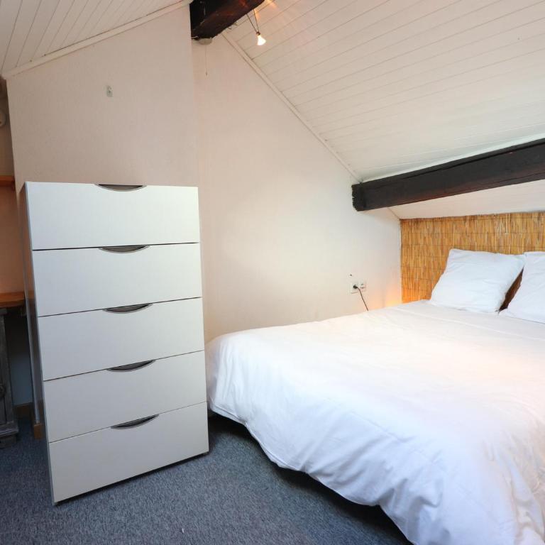 Duplex atypique centre historique - Animaux acceptés - FR-1-432-63 - Apartment (4 Adults) - 3