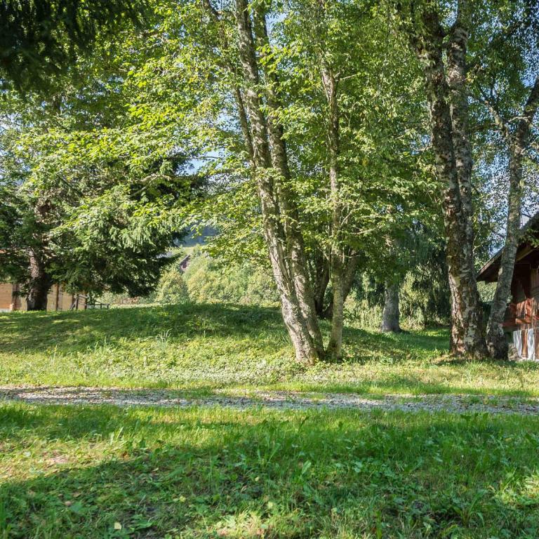 Chalet plein soleil 2 chambres à Megève, proche pistes - FR-1-453-255 - Chalet (4 Adultes) - 8