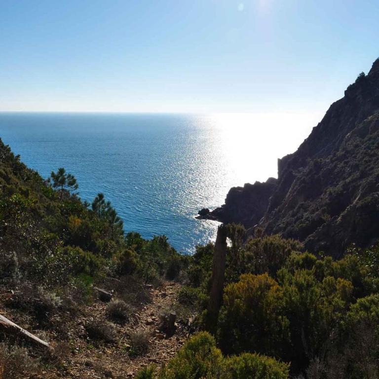 M'illumino d'immenso - MONEGLIA APARTMENTS - Appartamento con 2 Camere da Letto - 56