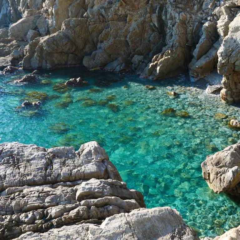 M'illumino d'immenso - MONEGLIA APARTMENTS - Appartamento con 2 Camere da Letto - 46