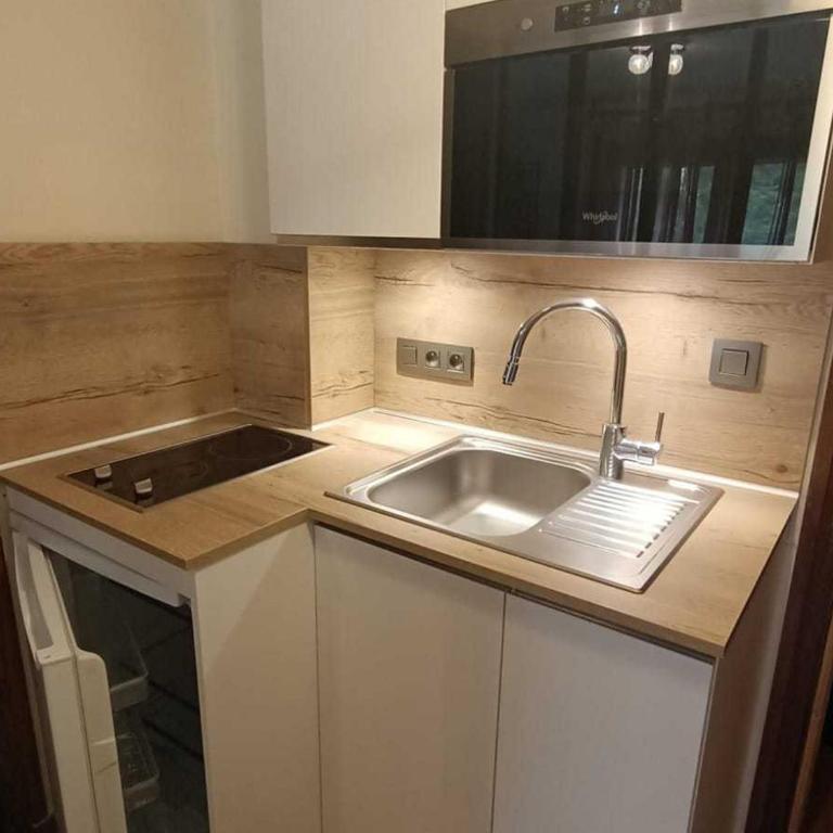 Studio à Megève - 3 personnes, Animaux admis - FR-1-453-116 - Studio - 3