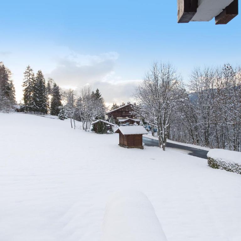 Appartement spacieux 1 chambre à Megève, balcon, parking inclus - FR-1-453-62 - Appartamento (4 Adulti) - 4