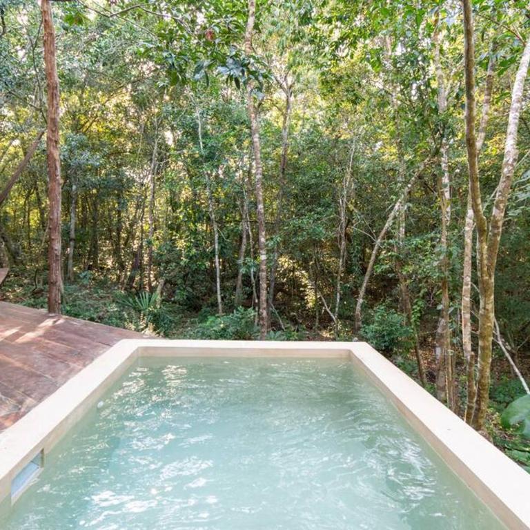 OJO DE AGUA. Design+pool. Vive la auténtica selva! - Casa con 1 dormitorio - 8