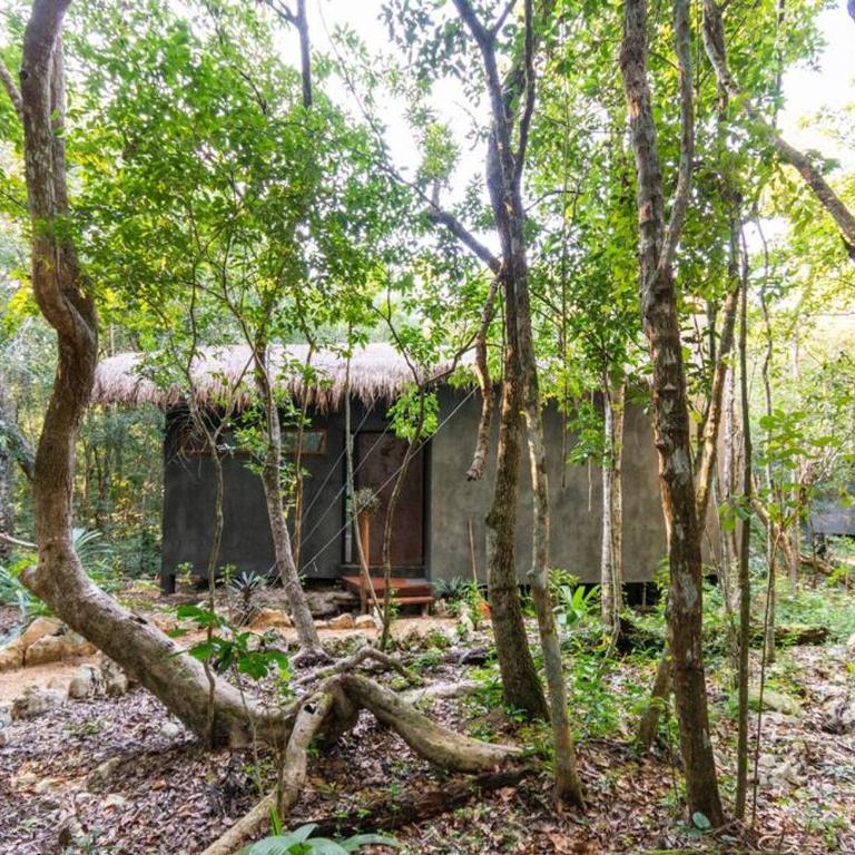 OJO DE AGUA. Design+pool. Vive la auténtica selva! - Casa con 1 dormitorio - 13