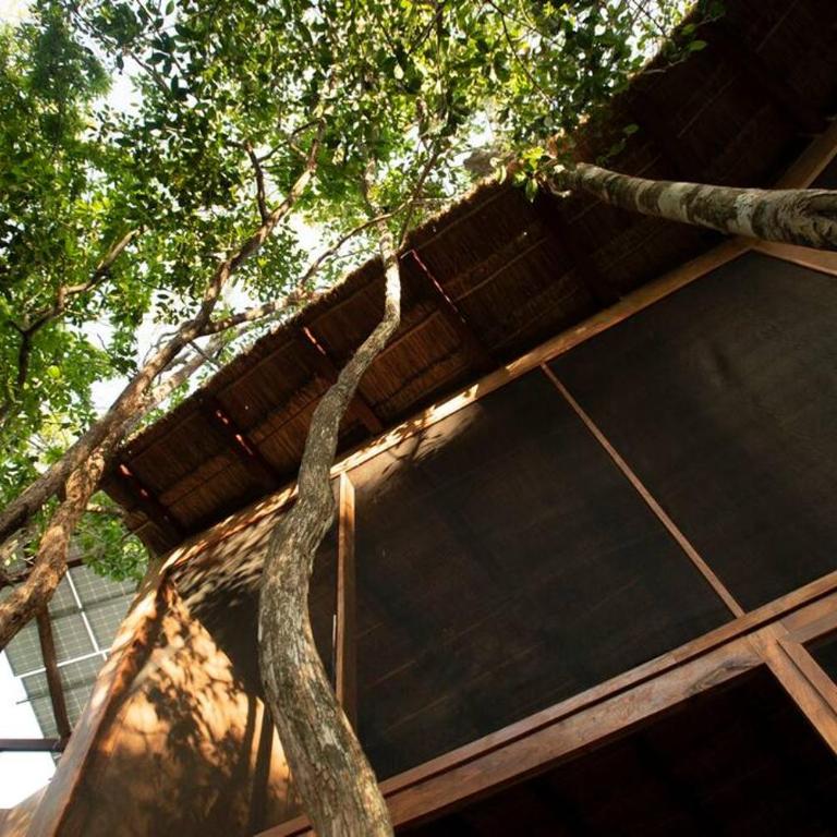 OJO DE AGUA. Design+pool. Vive la auténtica selva! - Casa con 1 dormitorio - 20