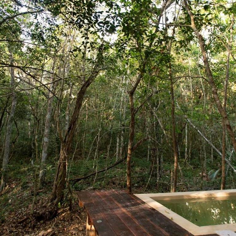 OJO DE AGUA. Design+pool. Vive la auténtica selva! - Casa con 1 dormitorio - 31