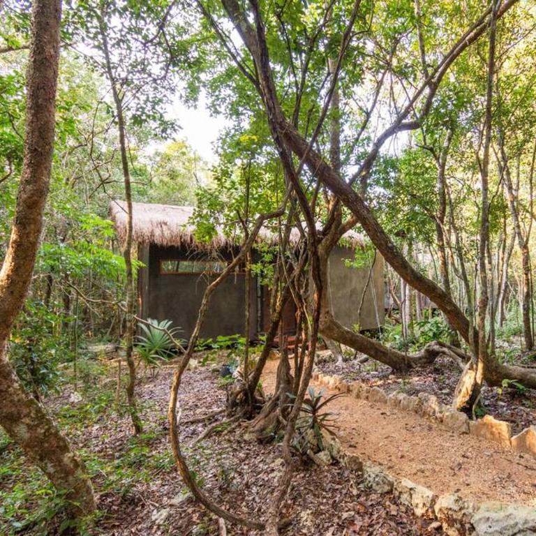 OJO DE AGUA. Design+pool. Vive la auténtica selva! - Casa con 1 dormitorio - 36