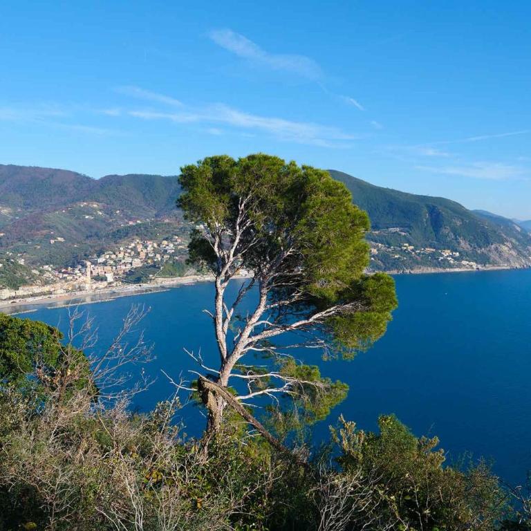 Il cuore di Moneglia - MONEGLIA APARTMENTS - Appartamento con 2 Camere da Letto - 31
