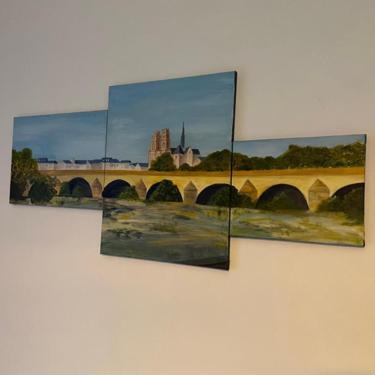 Cosy Loire, T2 neuf, front de Loire ,vue cathédrale,5min à pied centre ville et parking privé - Apartamento de 1 dormitorio - 12