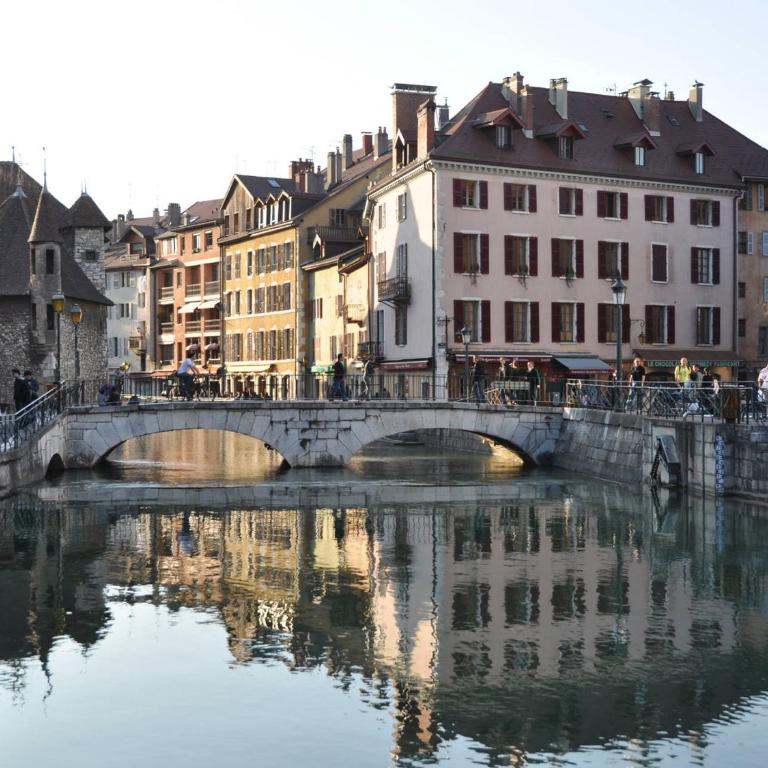 Studio lumineux, proche du lac avec animaux acceptés à Annecy - FR-1-432-17 - Studio - 3