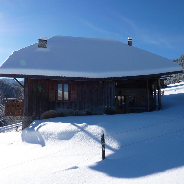 Chalet Savoyard en Bordure des Pistes avec Liaison Facile vers le Centre de Morzine - FR-1-524-11 - Chalet (12 Erwachsene) - 13