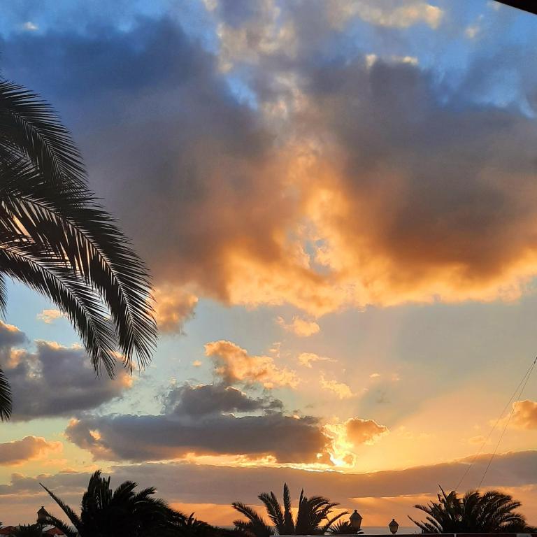 Sun beach Caleta 24 - One-Bedroom House - 13