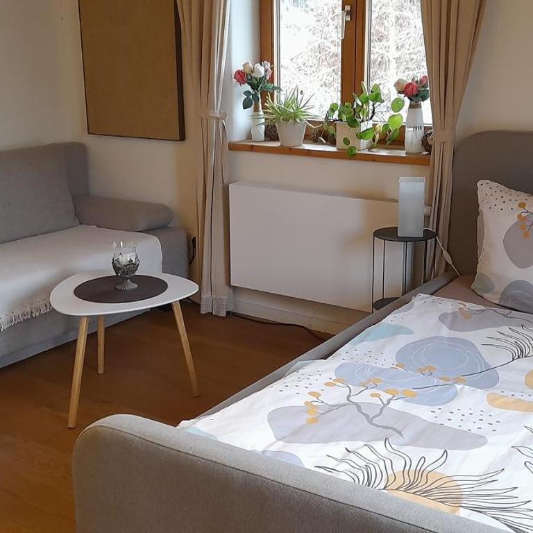 Apartment Zettler - Apartment mit 1 Schlafzimmer - 18
