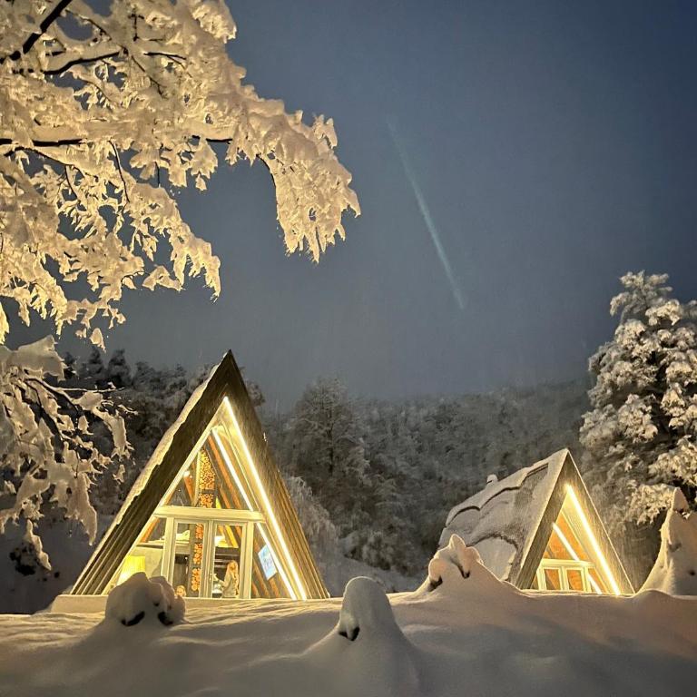Loon Moon Mountain Chalets - Brvnara sa 1 Spavaćom Sobom - 8