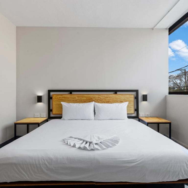Suites Reforma by HomiRent - Suite Deluxe con cama extragrande - 11