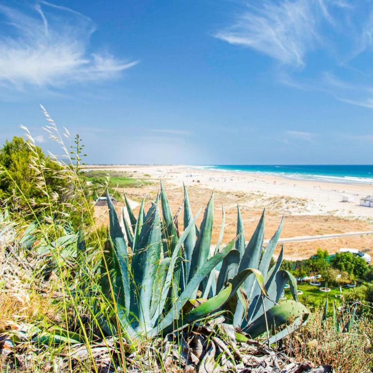 Beautiful Apartment In Conil De La Frontera - Apartamento de 2 dormitorios - 16