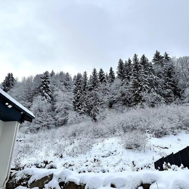 APT. PRIVÉ «Le skieur» / Accès Ski / Cosy & équipé - Appartement 1 Chambre - 17