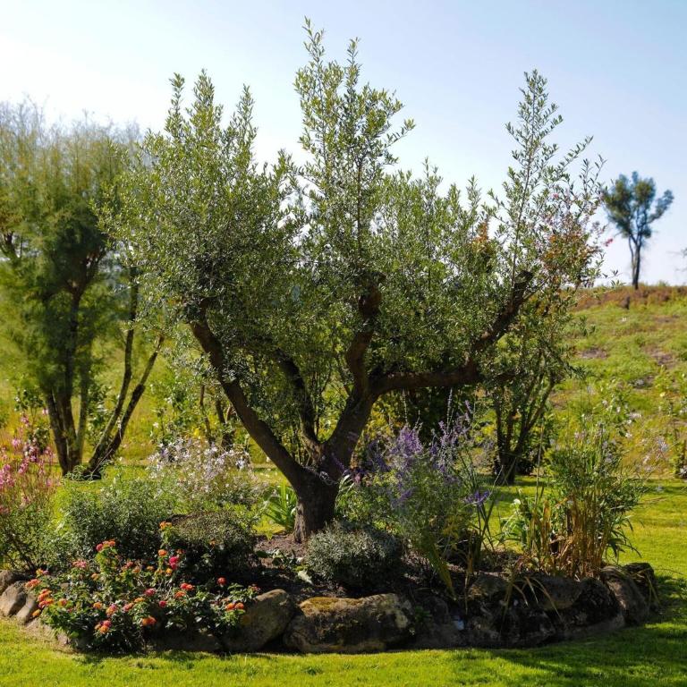 Villa in France near Beach & Private Pool - Villa 3 Chambres - 20
