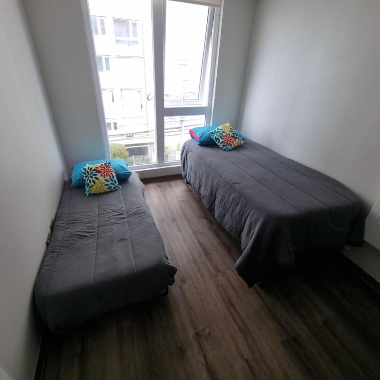 407/ Precioso apartamento 1D+1B // JUMBO+CENTRO 5 MIN - Apartamento de 2 dormitorios - 5
