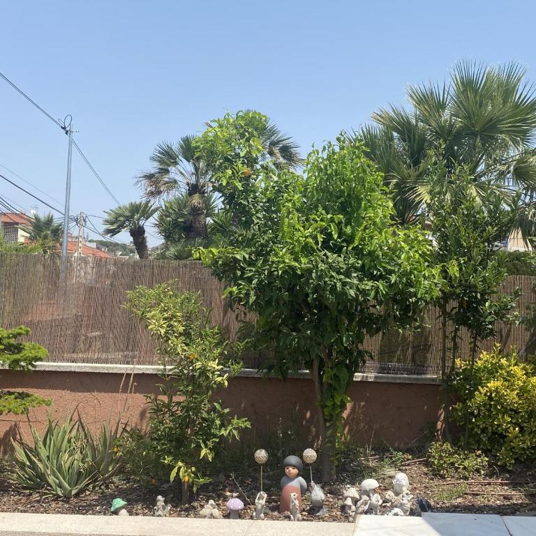 R134 Casa Domingo con AC y piscina - Villa - 41