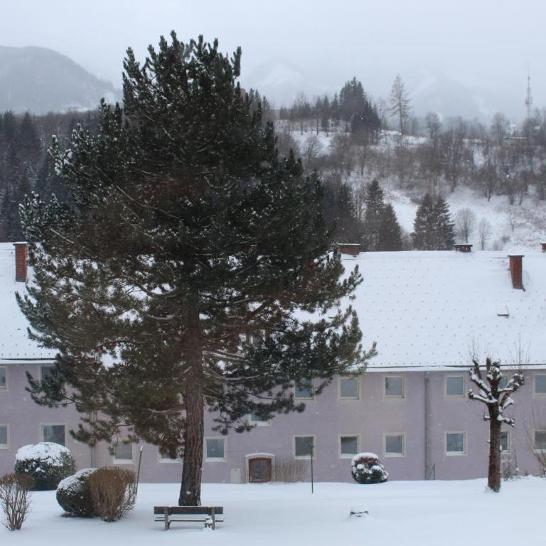 Eisenerzer Apartmenthaus - Apartment mit 2 Schlafzimmern - 23